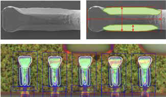 1698999972591374.png image.png